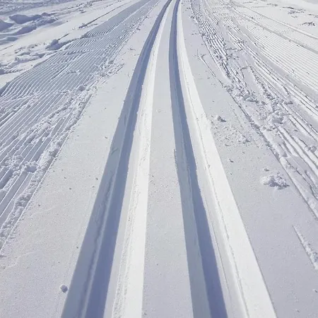 Galeria - Jasna Dolina Demianowska