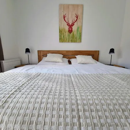 Apartament Galeria - Jasna *